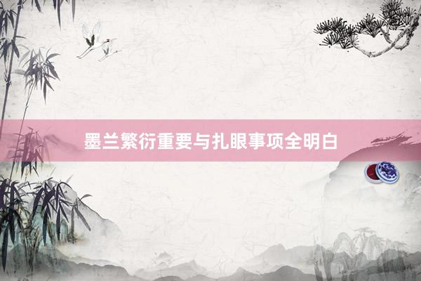 墨兰繁衍重要与扎眼事项全明白